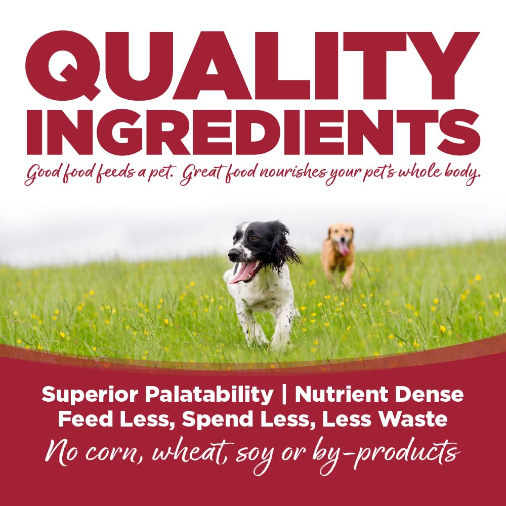 NutriSource Choice Dry Dog Food, Beef Meal & Barley Recipe, 40 lb.