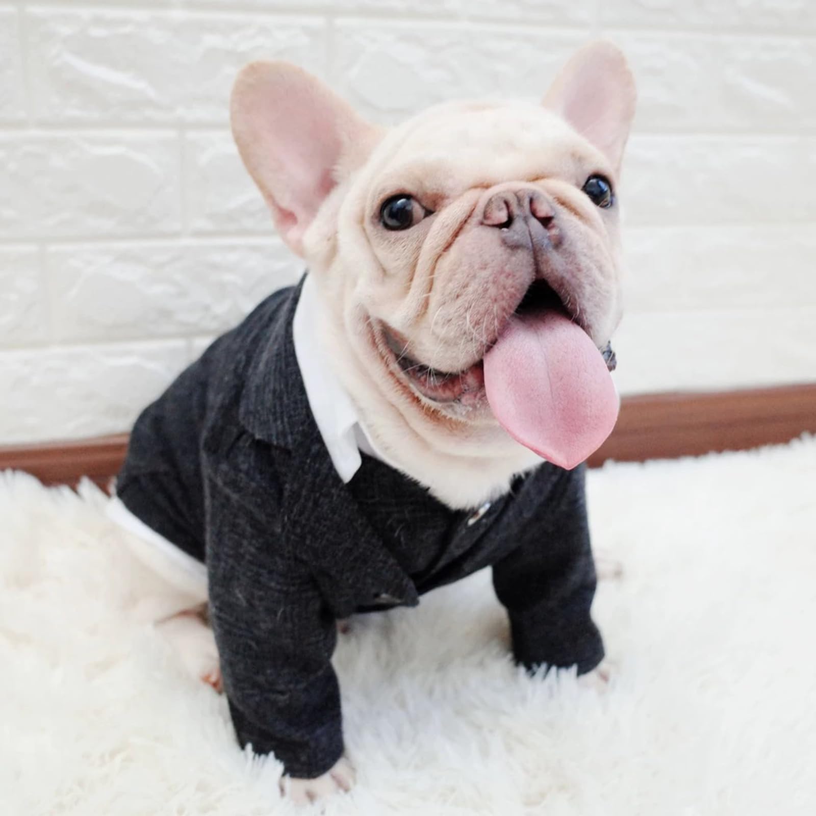 Tqflow Dog Clothes Pet Plaid Suit Dog Tuxedo Costumes, Formal Gentleman Apparel Vest, Wedding Party Birthday Wear French Bulldog