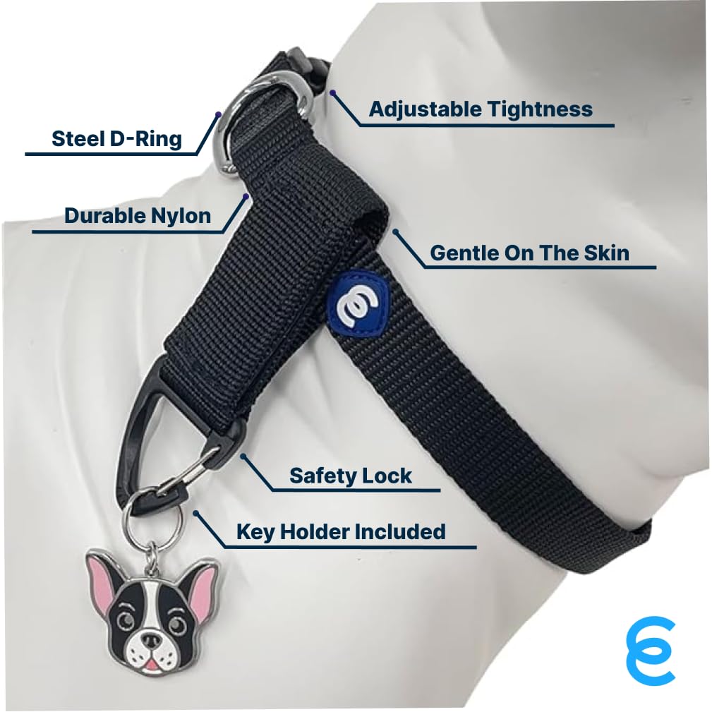 Blueberry Pet Essentials Matching Medium Dog Collar & Key Holder Set | Adjustable Classic Solid Color Nylon Dog Collars For Medi