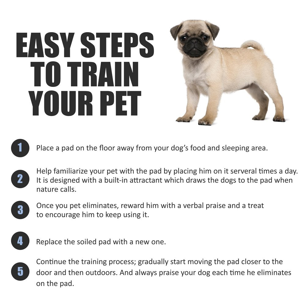 Bv Puppy Pads Leak-Proof 100 Count 22'X 22' | Pee Pads For Dogs Quick Absorb 6-Layer- Dog Pee Pads- Dog Pads 100 Pack- Potty Pads For Dogs- Puppy Pee Pads, Pee Pad Training Pads For Dogs, Pet Pee Pads