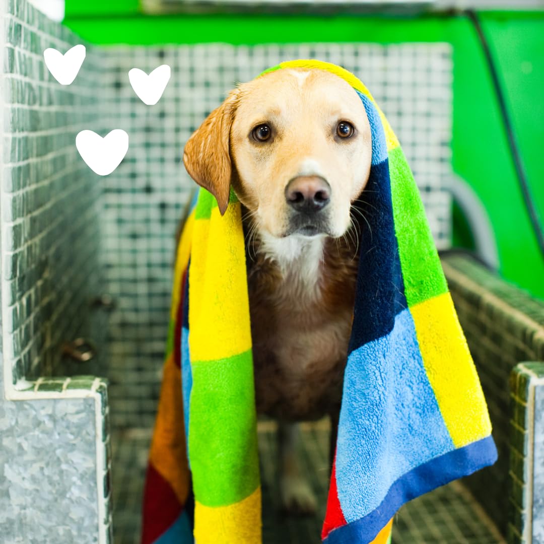 earthbath Oatmeal and Aloe Dog Shampoo- Oatmeal Shampoo for Smelly Dogs, Dog Wash in Bulk, Helps Itchiness and Dry Skin, Shampoo