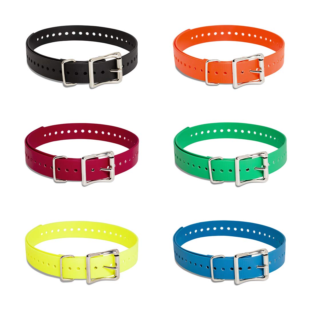 Sportdog Brand 1 Inch Collar Straps - Waterproof And Rustproof - Tightly Spaced Holes For Proper Fit - Black