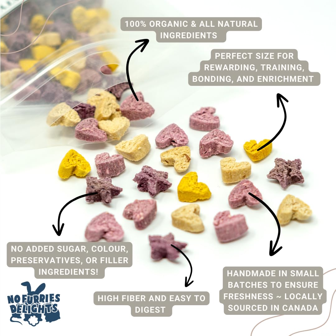 No Furries Delights Treats, 100% All Natural Mini Bites for Rabbit Hamster Guinea Pig Chinchilla Pet Rat Mice Gerbil Bird, Healt