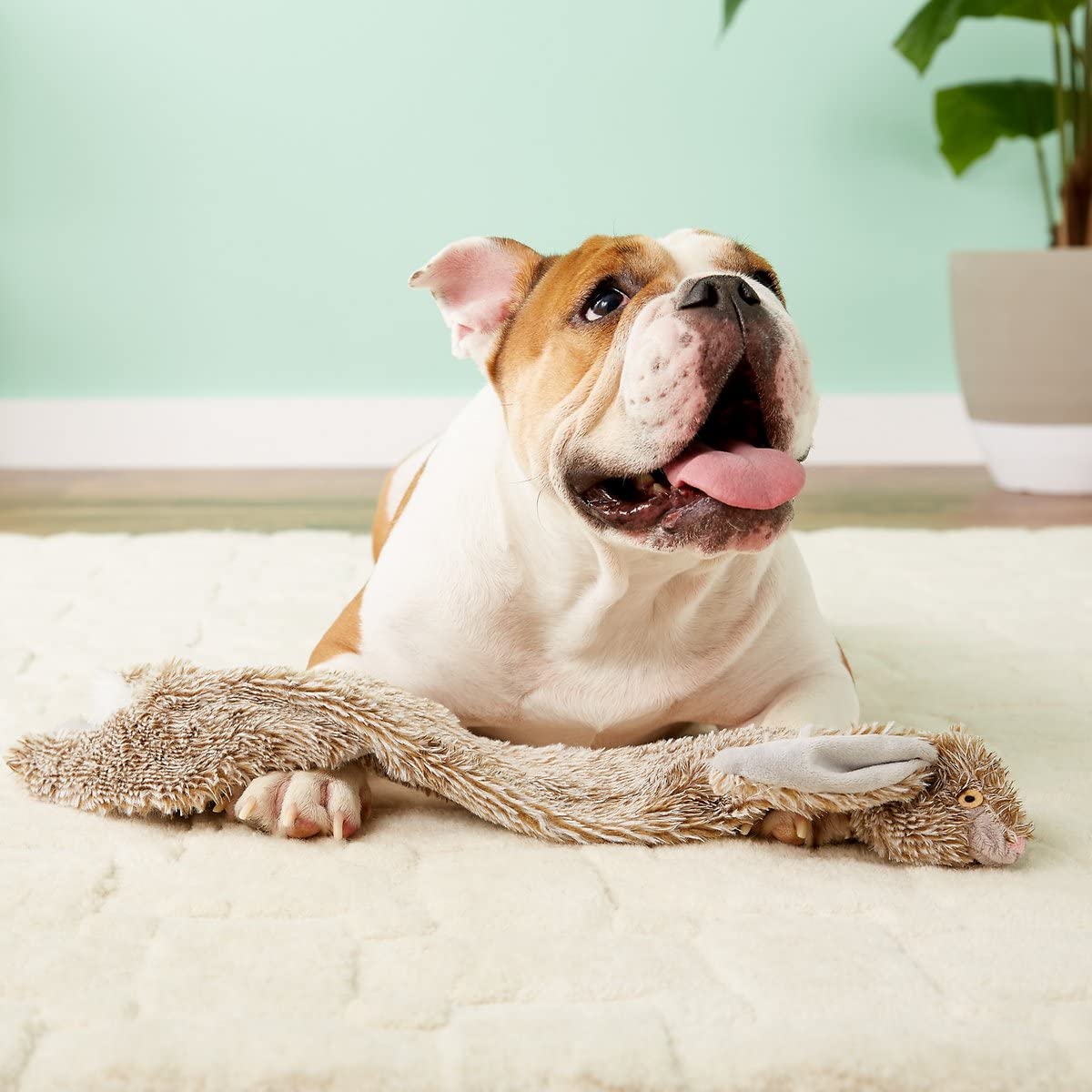 Spot By Ethical Products Skinneeez - The Original Stuffless Stuffingless Dog Squeak Tug Toy Small And Large Dogs Puppy Chew Alternative Interactive Dog Toy - Rabbit