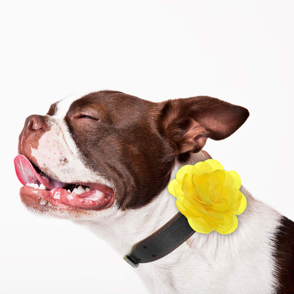 Boombone Dog Collar Flowers Accessory,Pack Of 8 Flower Charms Sliders For Dog Collars