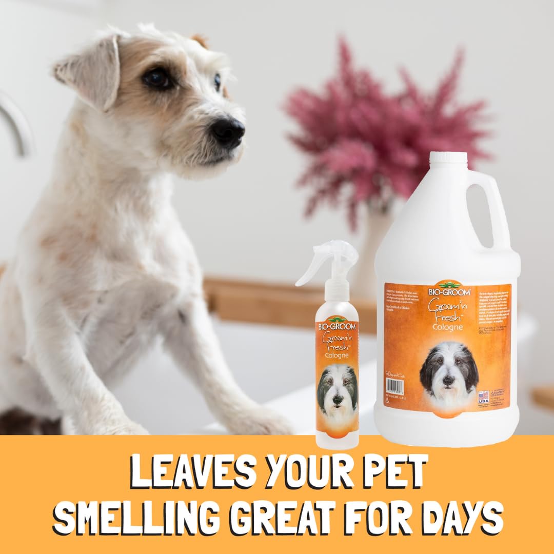 Bio-Groom Groom'N Fresh Dog Cologne - Deodorizing Spray, Dog Bathing Supplies, Puppy Wash, Cat & Dog Grooming Supplies, Cruelty-