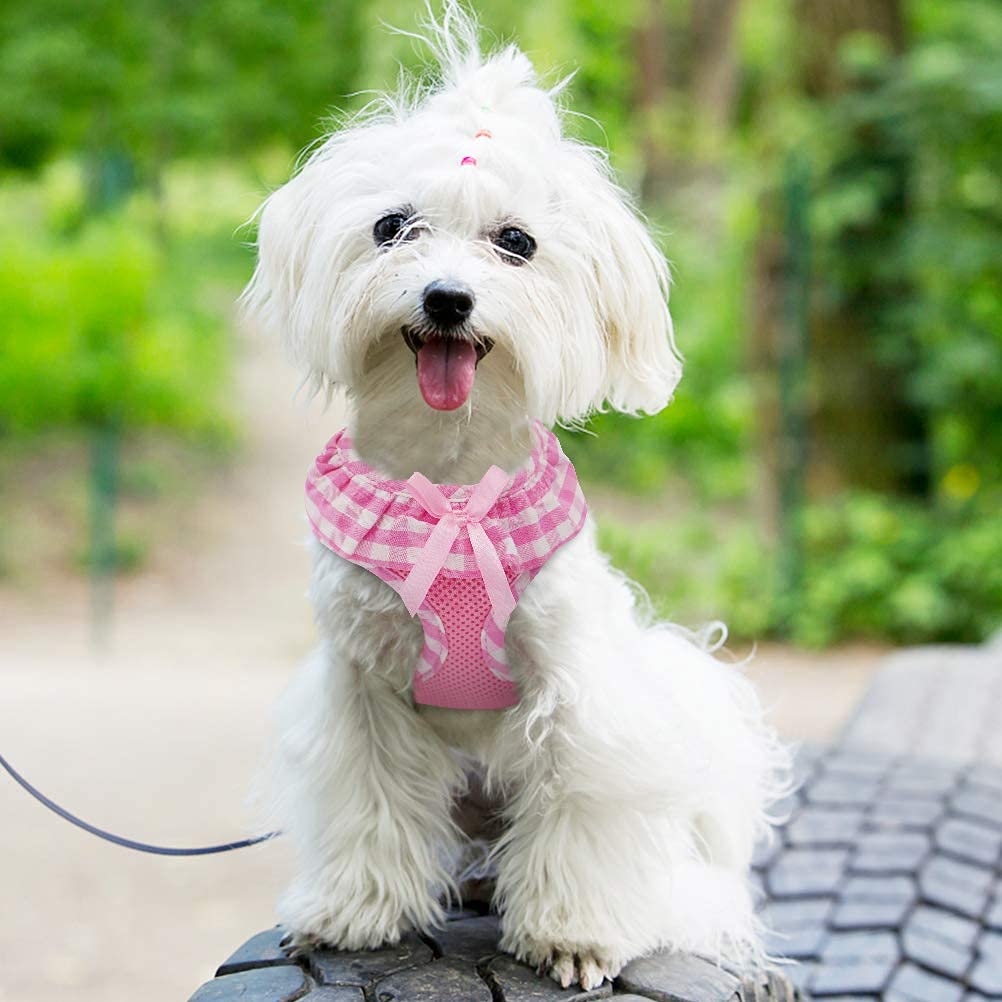 Expawlorer Small Dog Harness Girl - Cute Dog Harness For Female Dogs, Soft Mesh Breathable Vest Harness With Lovely Ribbon For Puppies, Easy Adjustable Step-In Female Dog Harness For Outdoor Walking