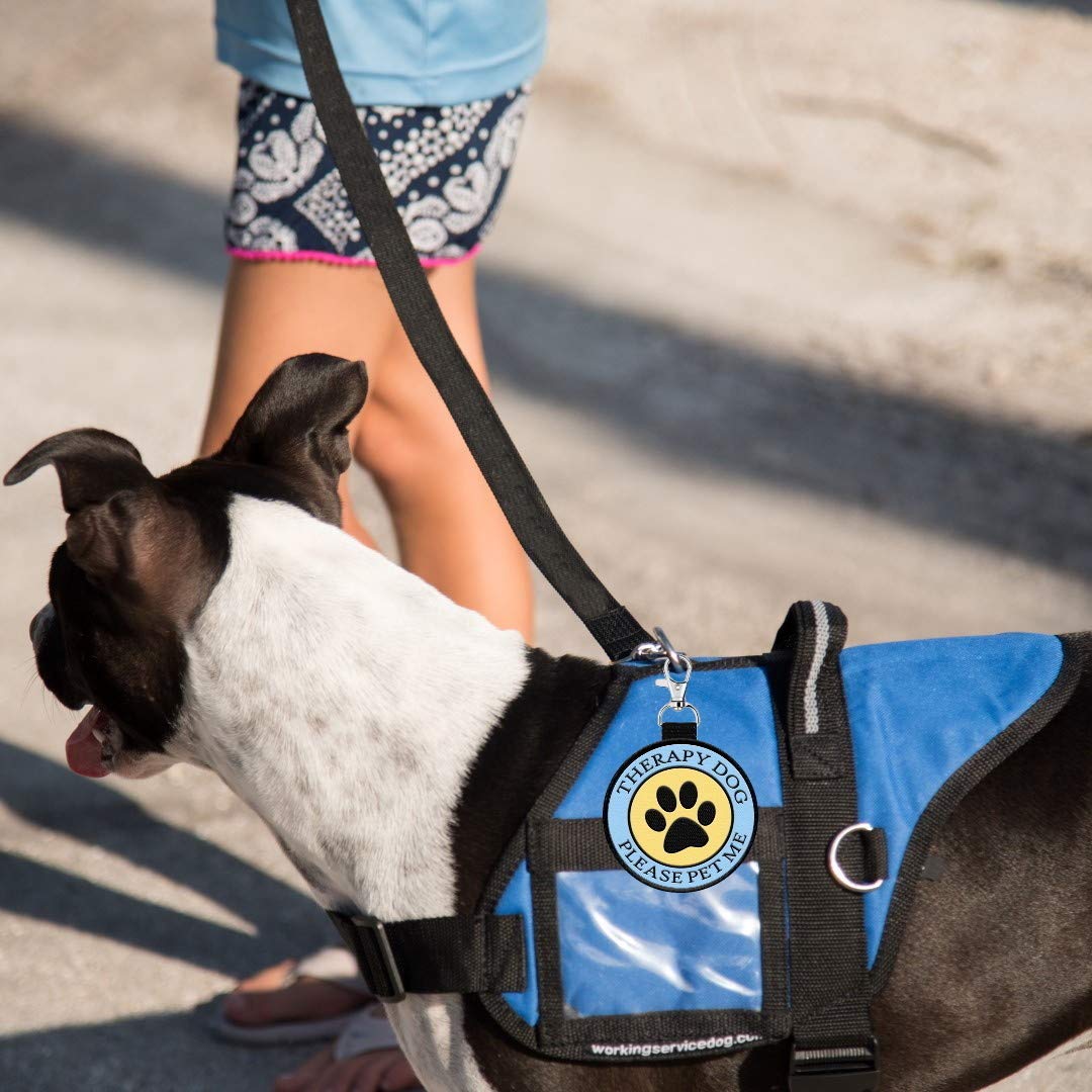 Therapy Dog Identification Patch Tag | Hangs From Therapy Dog Vest Or Therapy Dog Leash | Double Sided