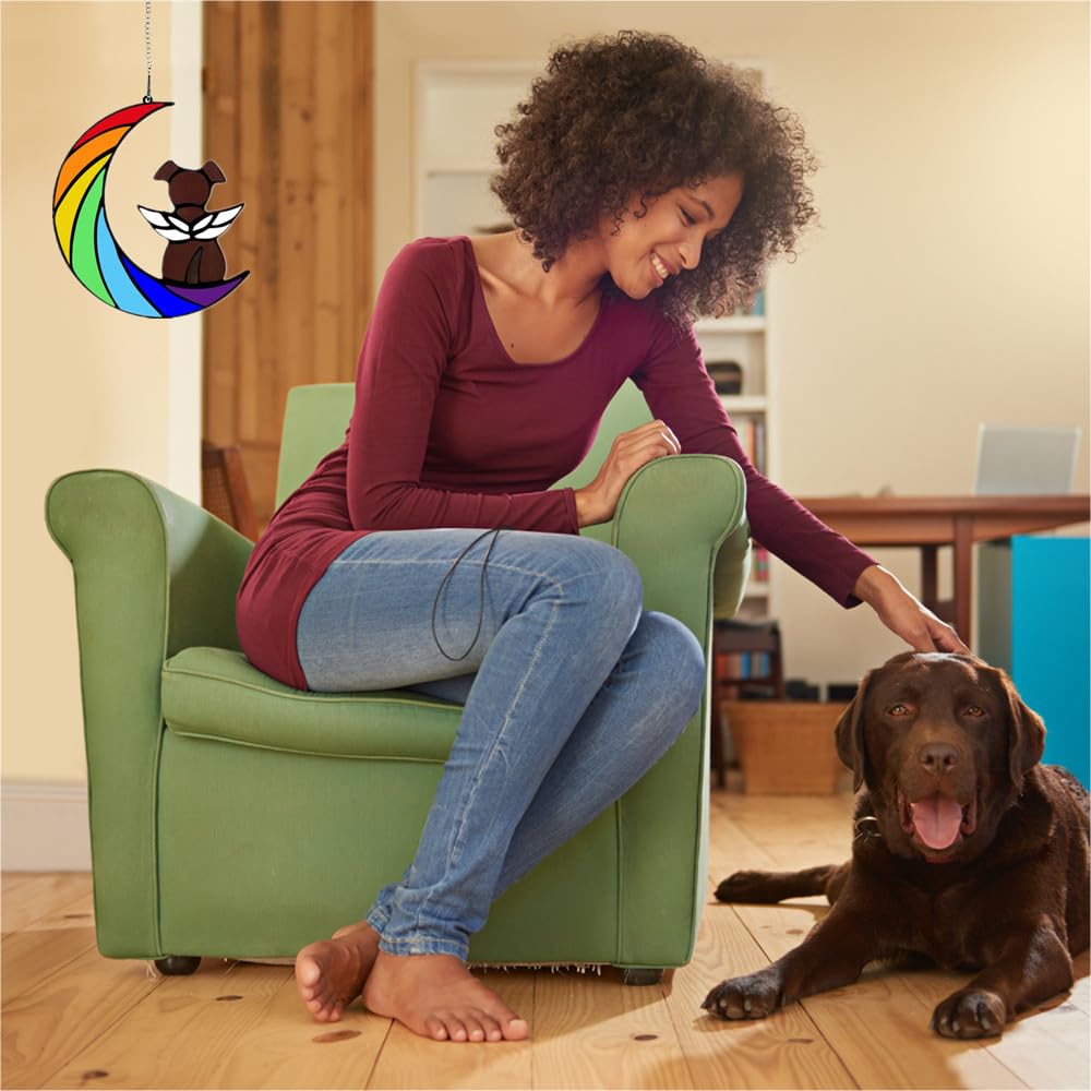 Dog Memorial Gifts For Loss Of Dog, Rainbow Bridge Dog Memorial Sun Catcher, Pet Loss Sympathy Gift For Dogs