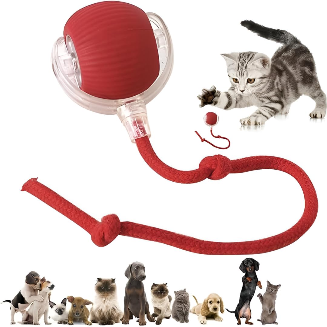 Abter Interactive Rolling Dog Toy  360 Electric Smart Ball With Lights  Automatic Pet Exercise Toy For Small & Medium Dogs, Fu