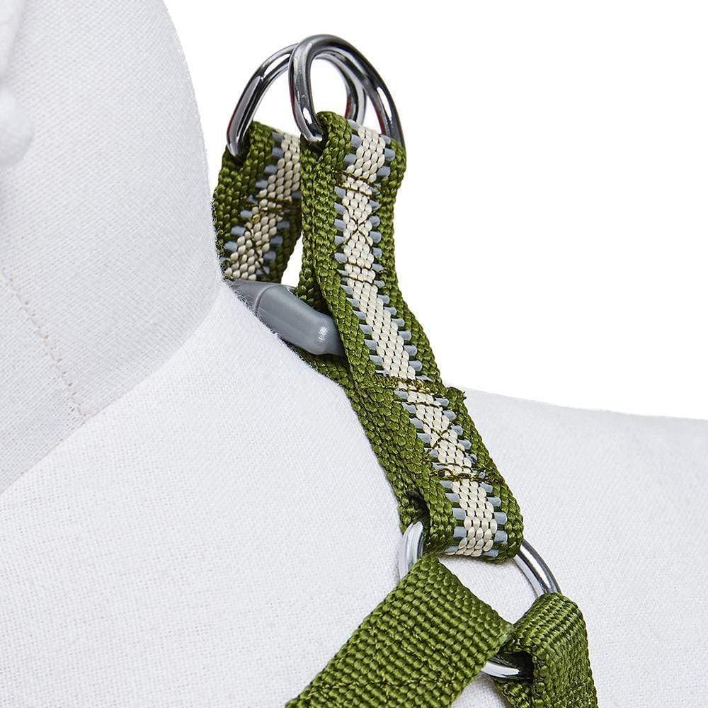 Blueberry Pet Essentials Step-in Reflective Back to Basics Dog Harness, Dark Olive, Chest Girth 16.5 - 21.5, Small, Adjustable H