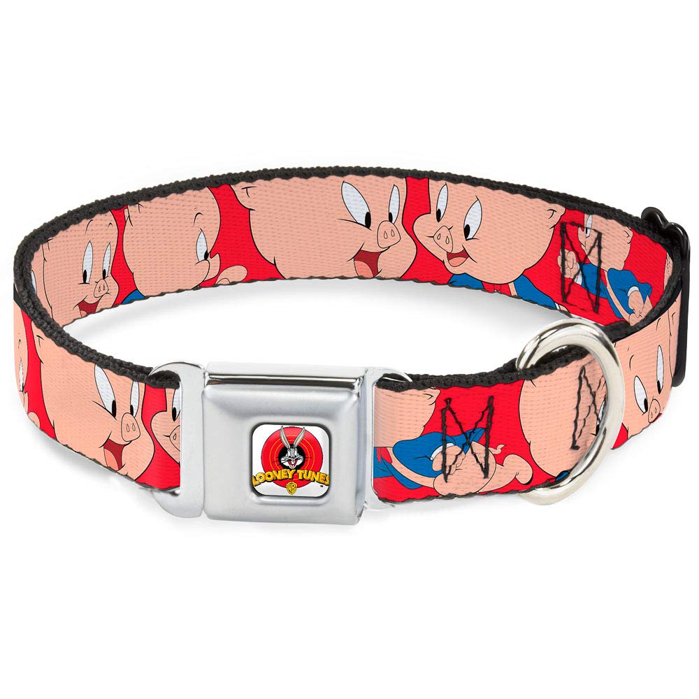 Dog Collar Seatbelt Buckle Porky Pig Expressions Red 9 To 15 Inches 1.0 Inch Wide