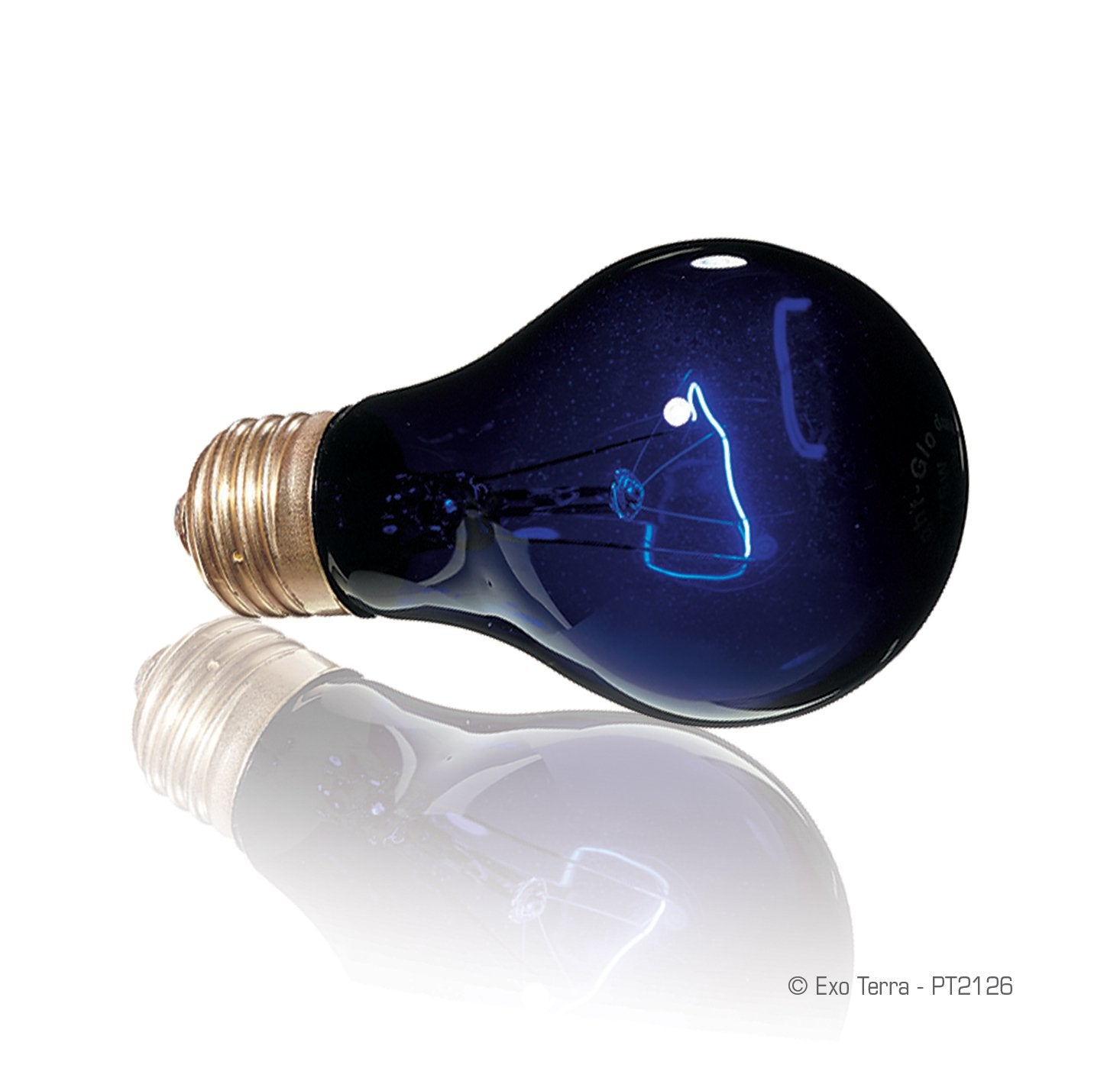 Exo Terra Night-Glo Moonlight A19 Lamp, 50-Watt (4 Pack)