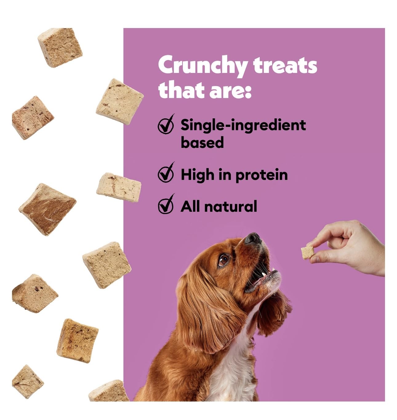 DN Essentials Wiggles & Wags Freeze Dried Beef Liver Dog, Waste Bag Dispenser & a Free Roll!