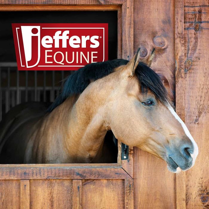 Jeffers Equine No-Rinse Waterless Horse Shampoo - Alcohol Free Grooming Spray for Horses, Ponies, Pets & Livestock - Removes Dir