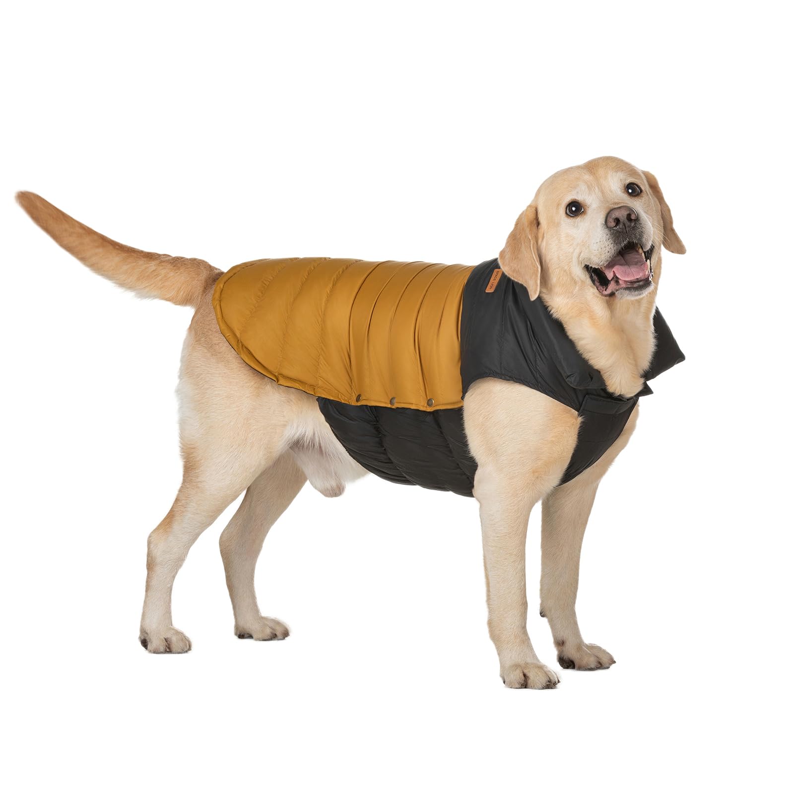 Space Lion Classic Dog Down Jacket, Duck Down Insulation, Sgs Certified, Warm, Lightweight, Water-Repellent, Two-Tone Winter Coa