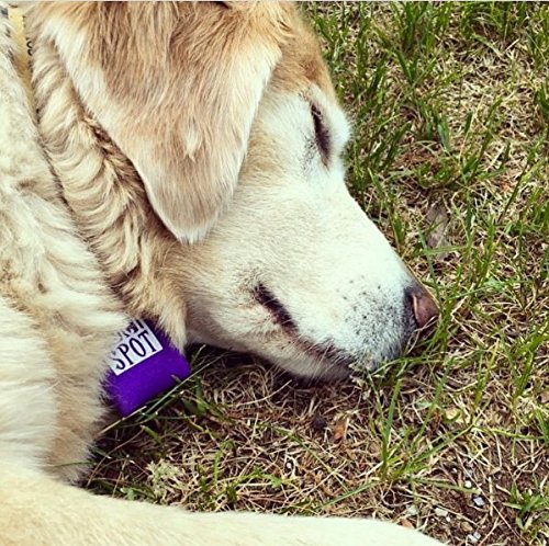 Quiet Spot Pet Tag Silencer (Red)