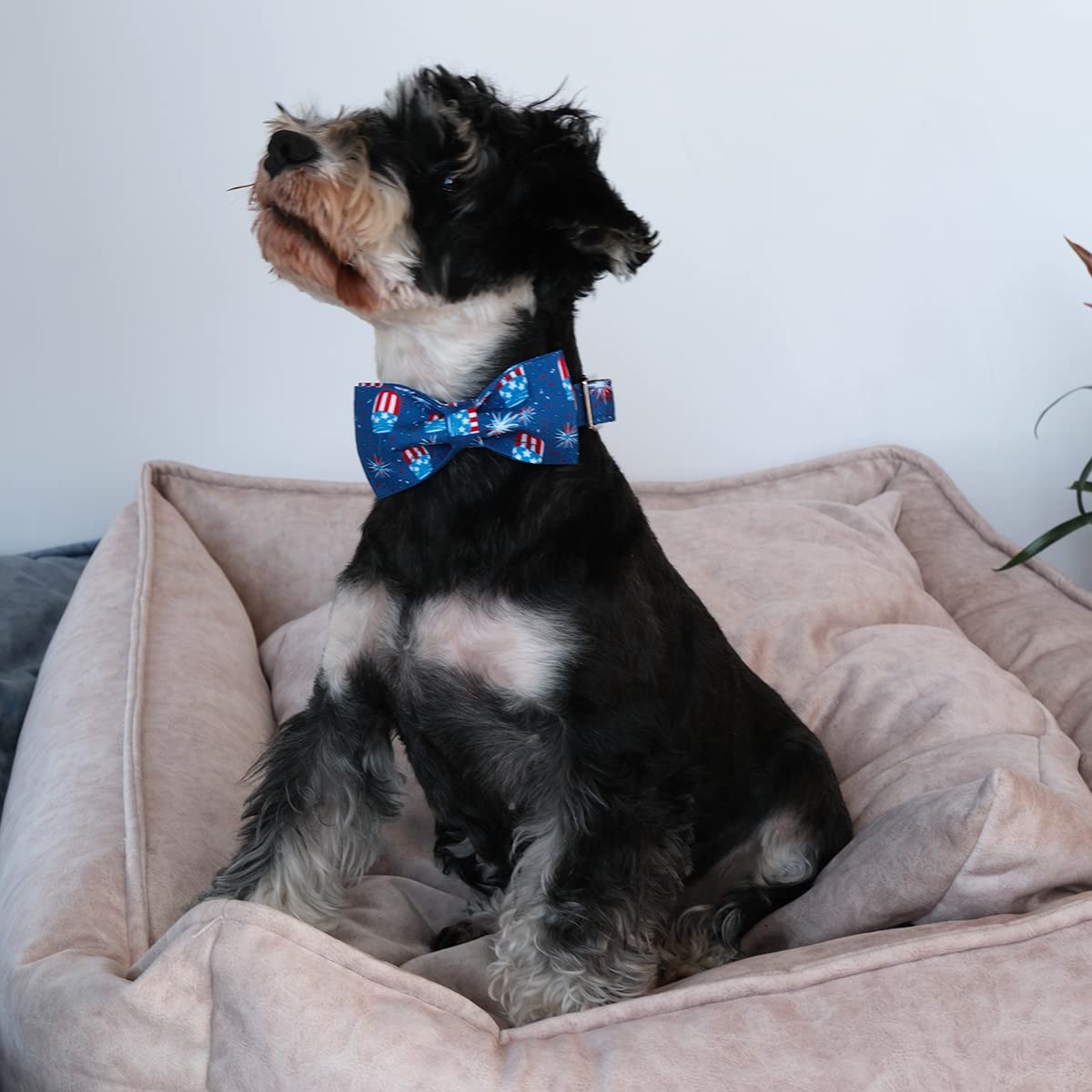 Up Urara Pup 4Th Of July Dog Collar With Bow Tie, Patriotic Bowtie Dog Collar, American Flag Collar For Large Boy Girl Dog, Comf