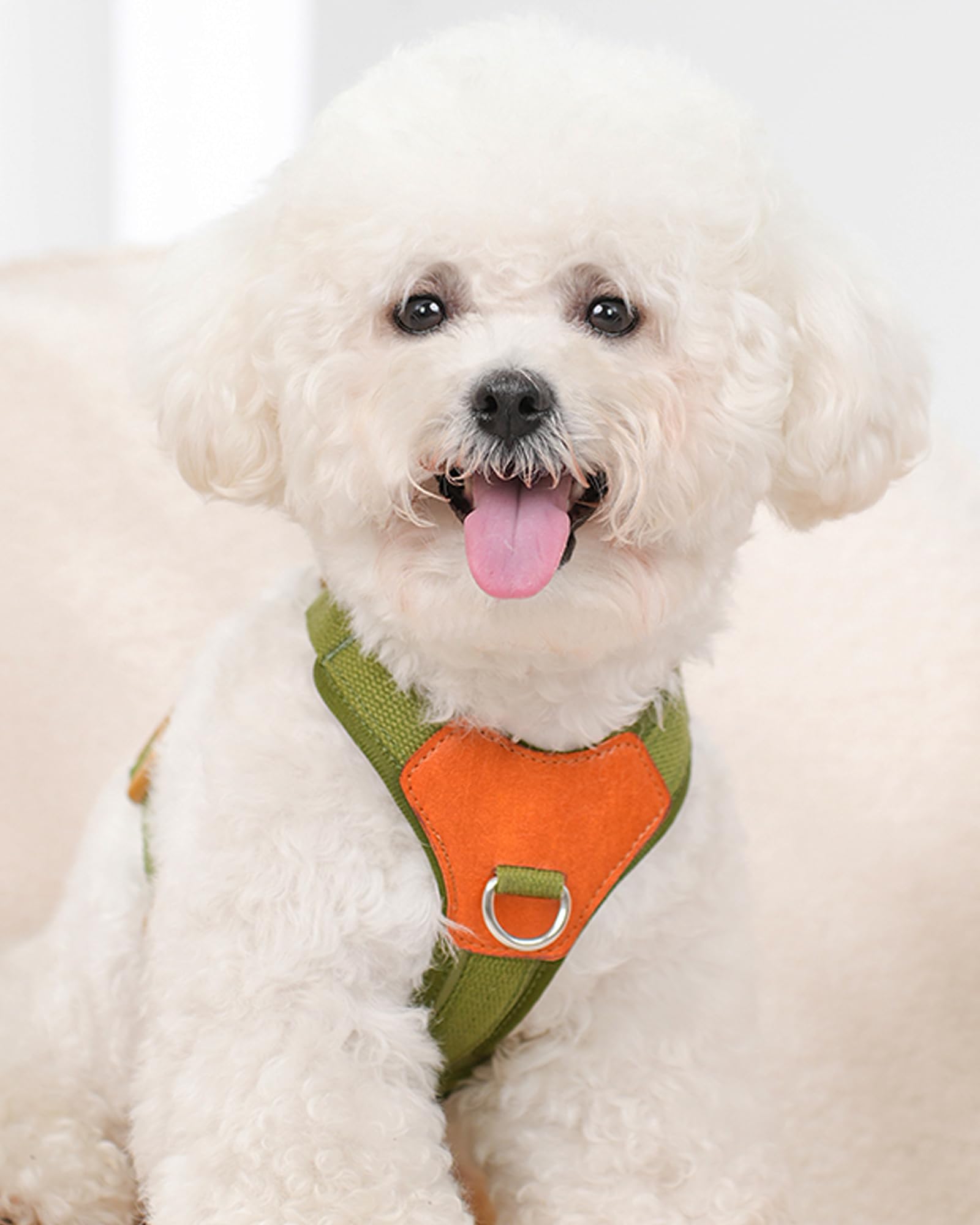 Green Small Dog Harness For Small Dogs, No Pull Dog Harness With 2 Leash Clips, Puppy Harness, Dog Vest Harness (Green, S)