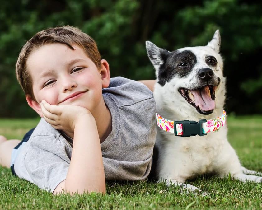 Tunkoo Flower Dog Collar, Cute Adjustable Premium Cotton Collar Durable Plastic Buckle For Small Medium Large Boys Girls Dogs, S