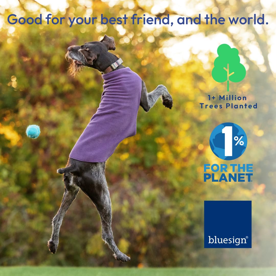 Gold Paw Stretch Fleece Dog Coat, Stretchy Pet Sweater, Machine Washable Pullover For Winter And Fall, Mulberry Plaid, 8