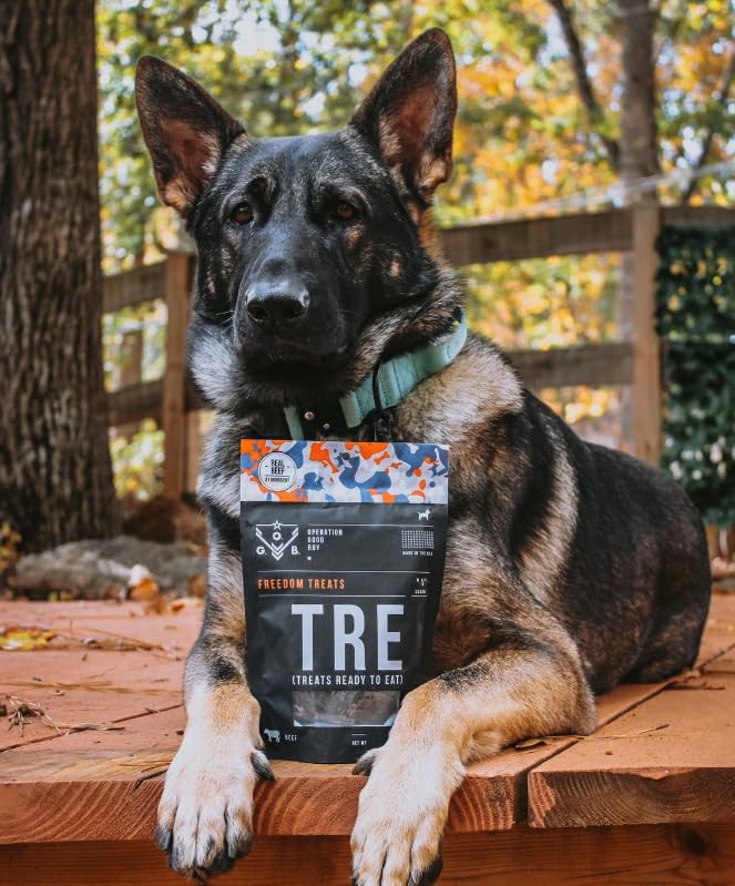 Operation Good Boy Beef Dog Treats - 1/4 High-Protein Training Squares, Natural Farm-Raised Meat for Small to Large Dogs - Freed