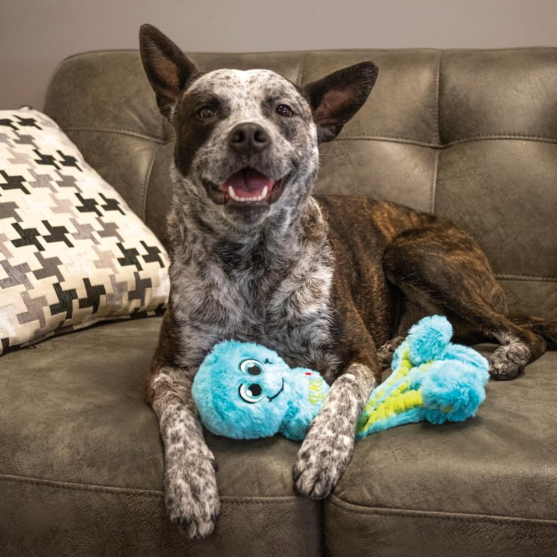 Kong Wubba Octopus Tug And Fetch Squeak Dog Toy Assorted Colors (Small (2 Pack))