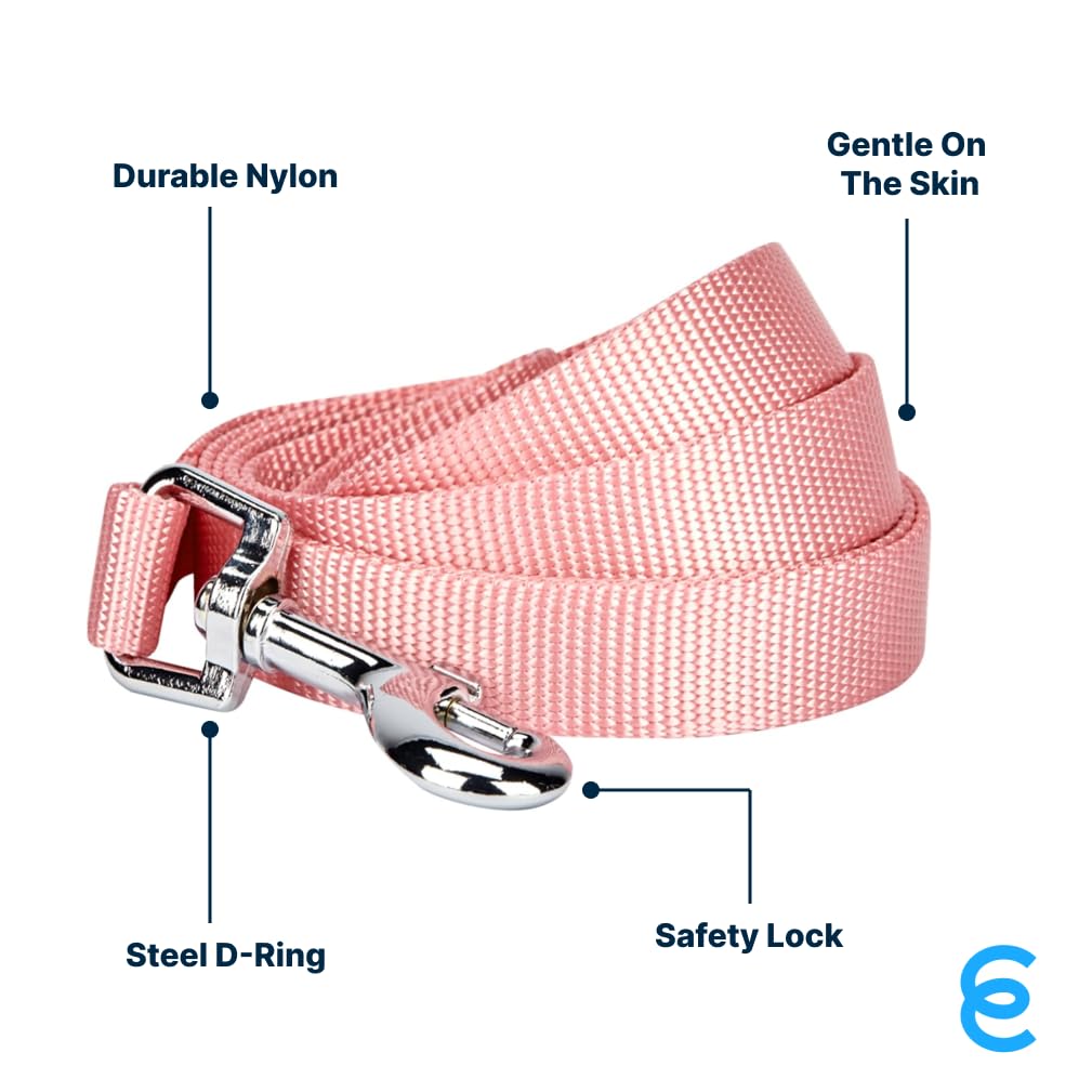 Blueberry Pet Dog Leash, Durable Nylon, 5 ft x 3/8", Baby Pink, X-Small, Model BBPDLSHS00002PK1S