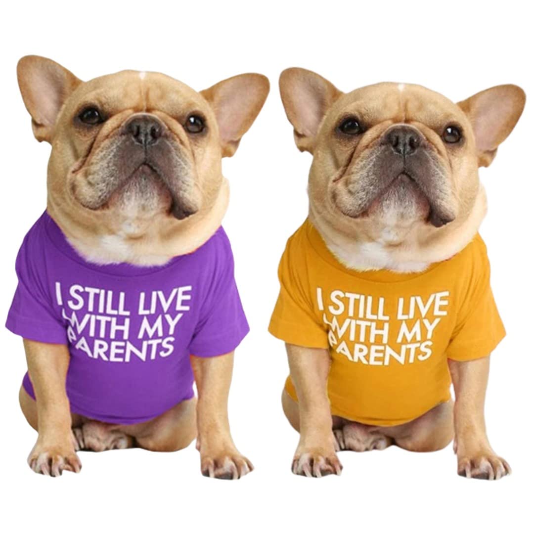 Kutkut 2 Pcs Pet Dog Breathable Stretchy Round Neck T-Shirt I Still Live With My Parents Small Dog Cats Summer Vest T-Shirts Sof
