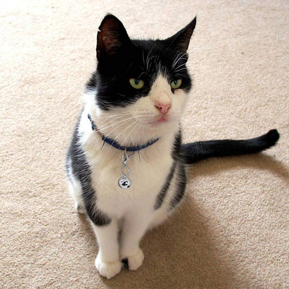 IVIA PET 4 Sets Cat Bell for Dog Collar Charm Training Pet Pendant Accessories with 2 Pack Stainless Steel Dog Tag Clips(2 Small