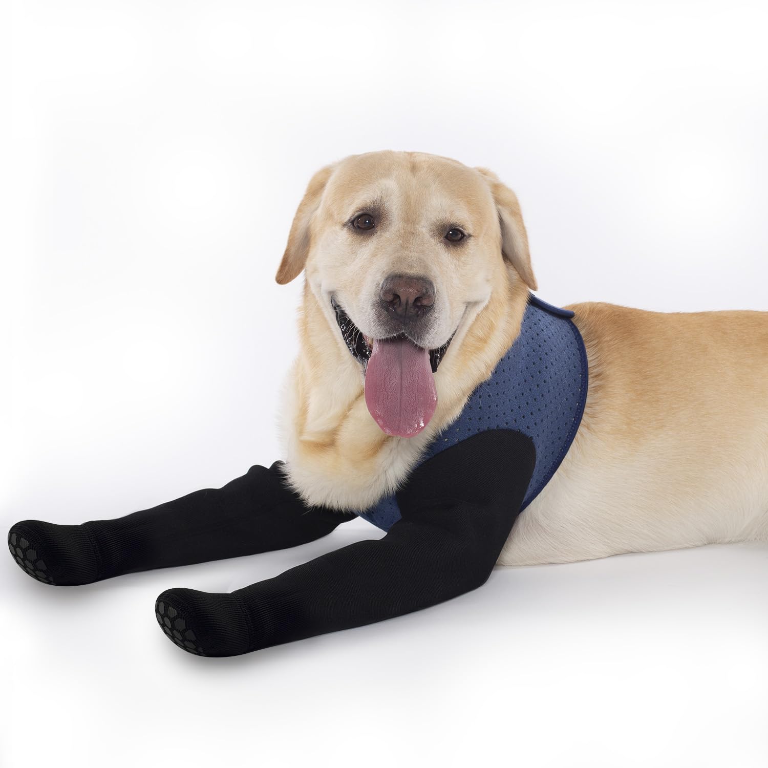COODEO Dog Socks to Prevent Licking Paws, Dog Healing Boots & Paw Protectors with Non-Slip Bottoms to Protect Wounds, Waterproof