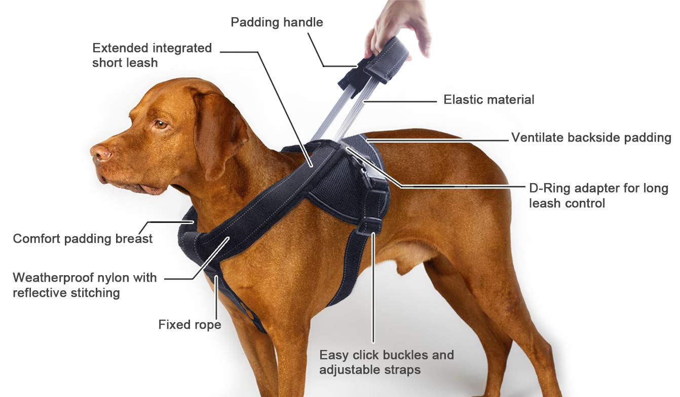 Heavy Duty Dog Harness For Medium And Large Dogs, No Pull Dog Vest Harness With Handle Extensible, Reflective Stitching (L)