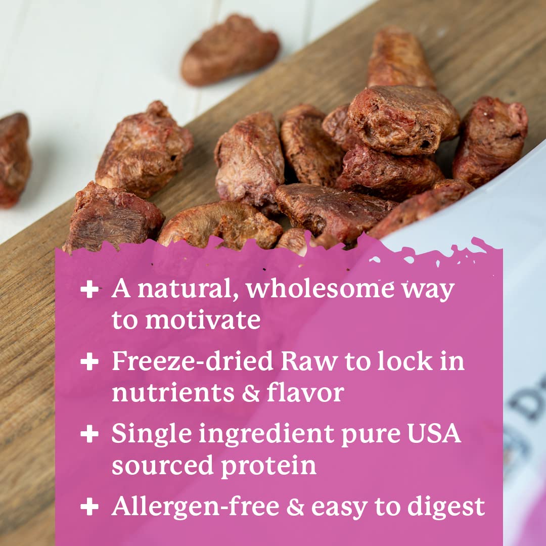 Dr. Harveys Freeze-Dried Chicken Hearts - Training Dog Treats, Single Ingredient, All-Natural USA Sourced Protein, Allergen-Fre