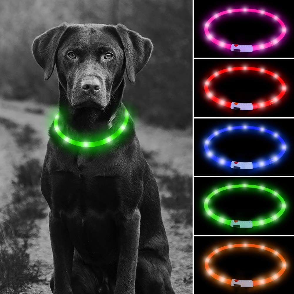 Higo Light Up Dog Collars - Rechargeable Led Dog Collar, Glowing Puppy Collar, Silicone Led Pet Collar, Flashing Dog Lights For Night Walking (Green)