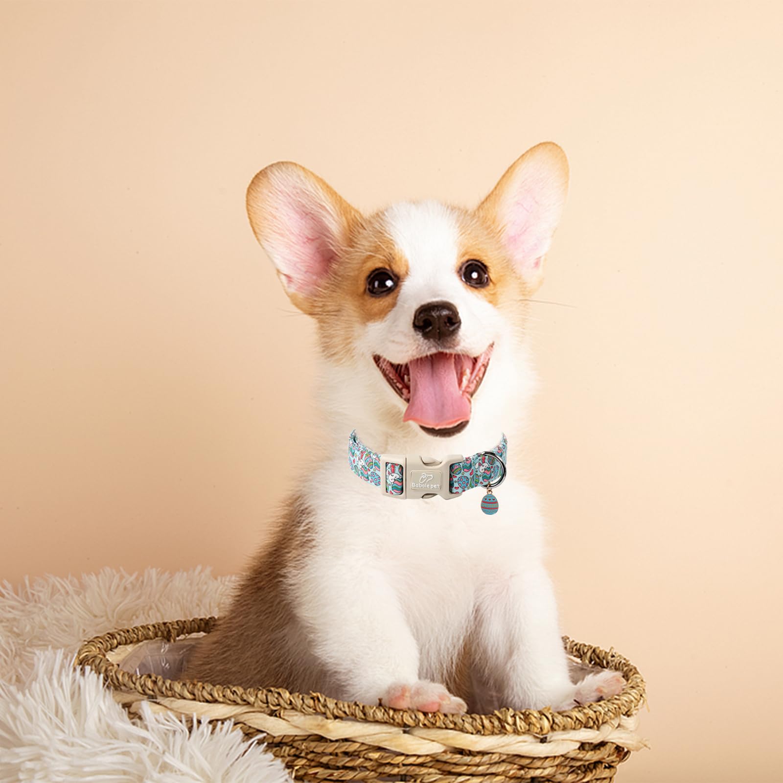 Babole Pet Easter Day Dog Collar, Colorful Easter Eggs Dog Collar with Quick Release Plastic Buckle, Easter Day Gift Rabbit Dog