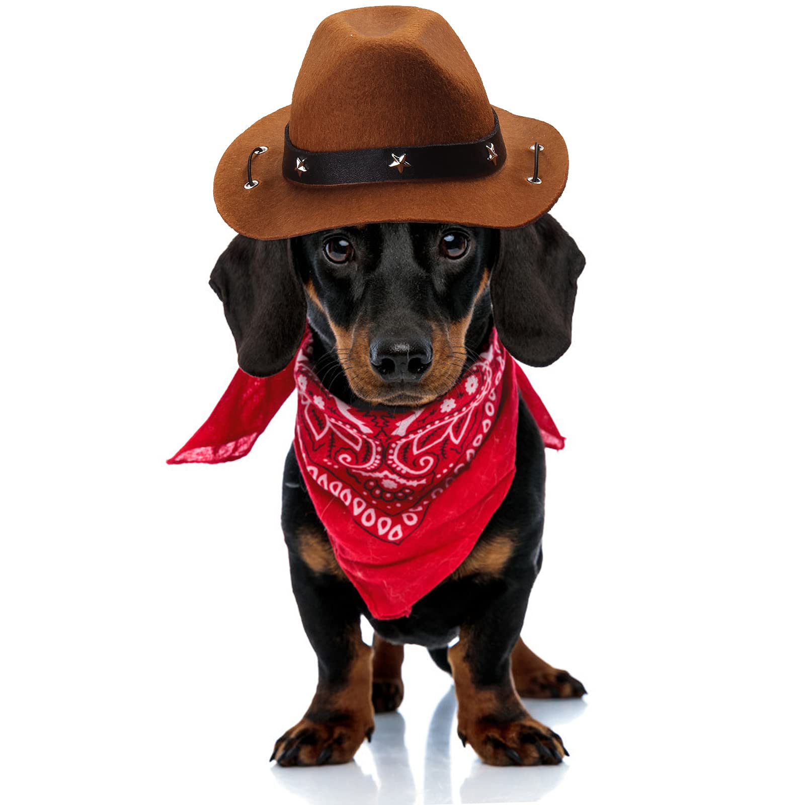 Yewong Pet Cowboy Costume Accessories Dog Cat Pet Size Cowboy Hat And Bandana Scarf West Cowboy Accessories For Puppy Kitten Party Festival And Daily Wearing Set Of 2 (Coffee)