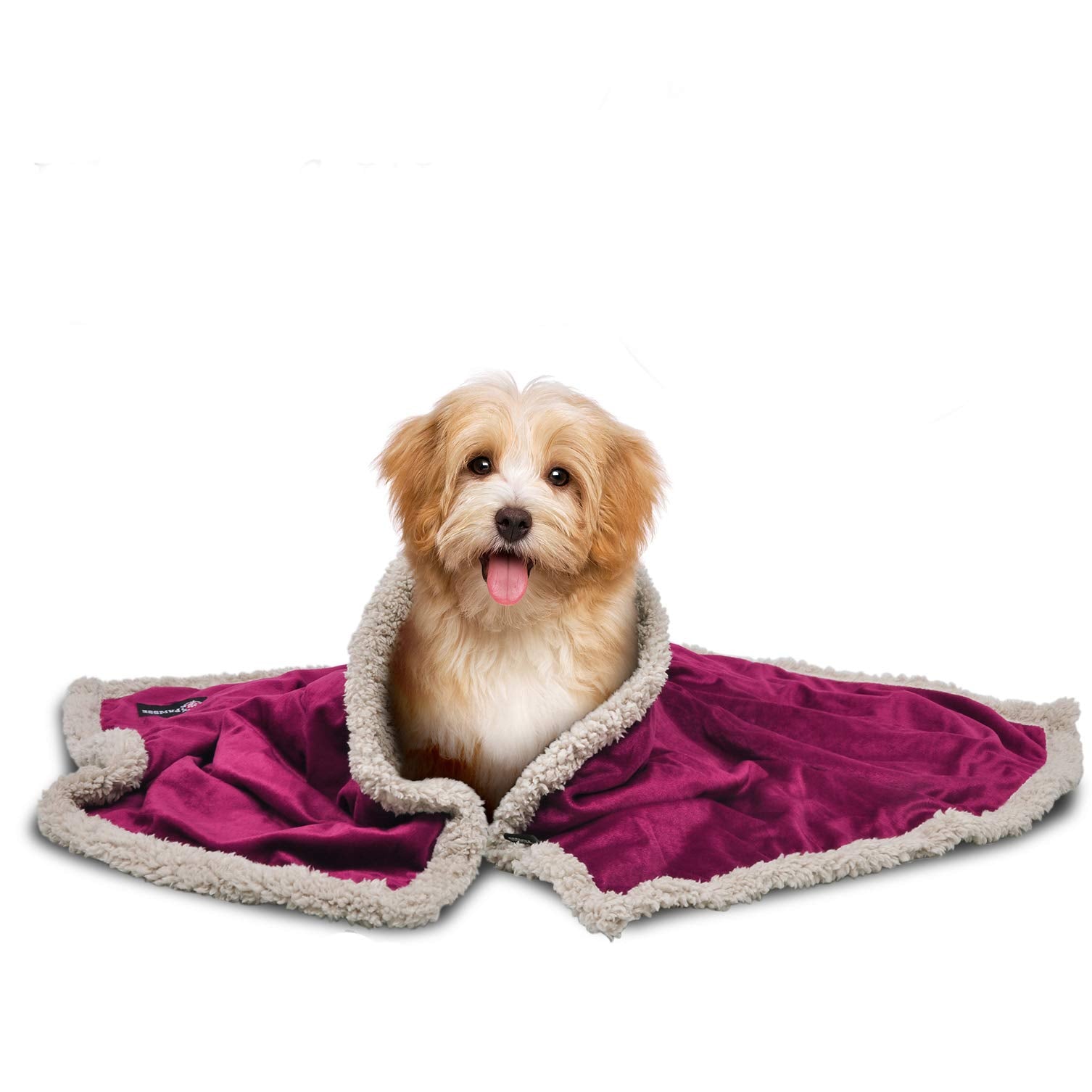 Pawsse Sherpa Puppy Blanket For Small Dogs Kitten, Warm Flannel Plush Pet Bed Blanket Reversible, 45''X30'' Wine/Tan