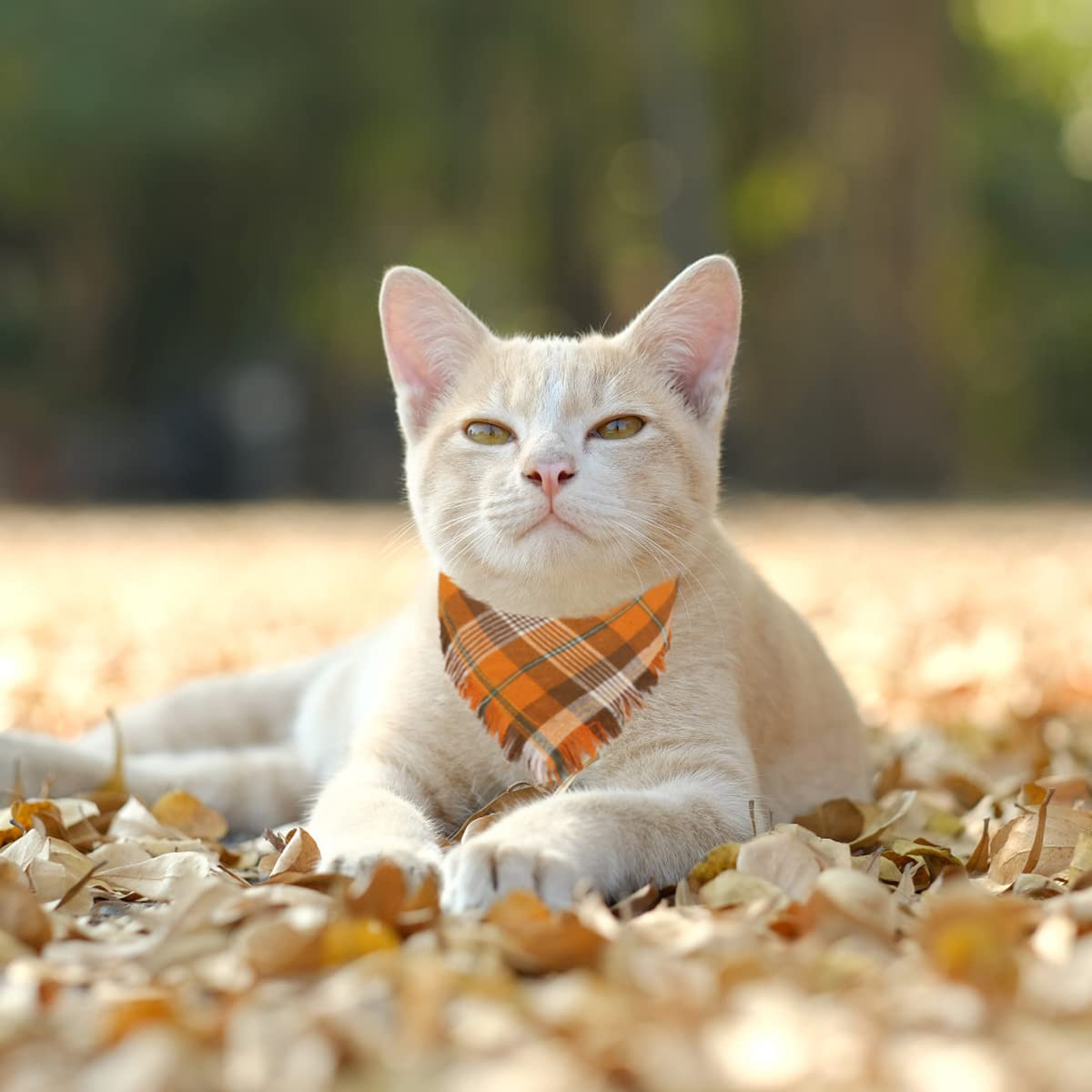 Kytely 2 Pack Fall Dog Bandanas Autumn Dog Bandana Thanksgiving Plaid Pets Scarf Triangle Bibs For Cat Small Dogs Pets