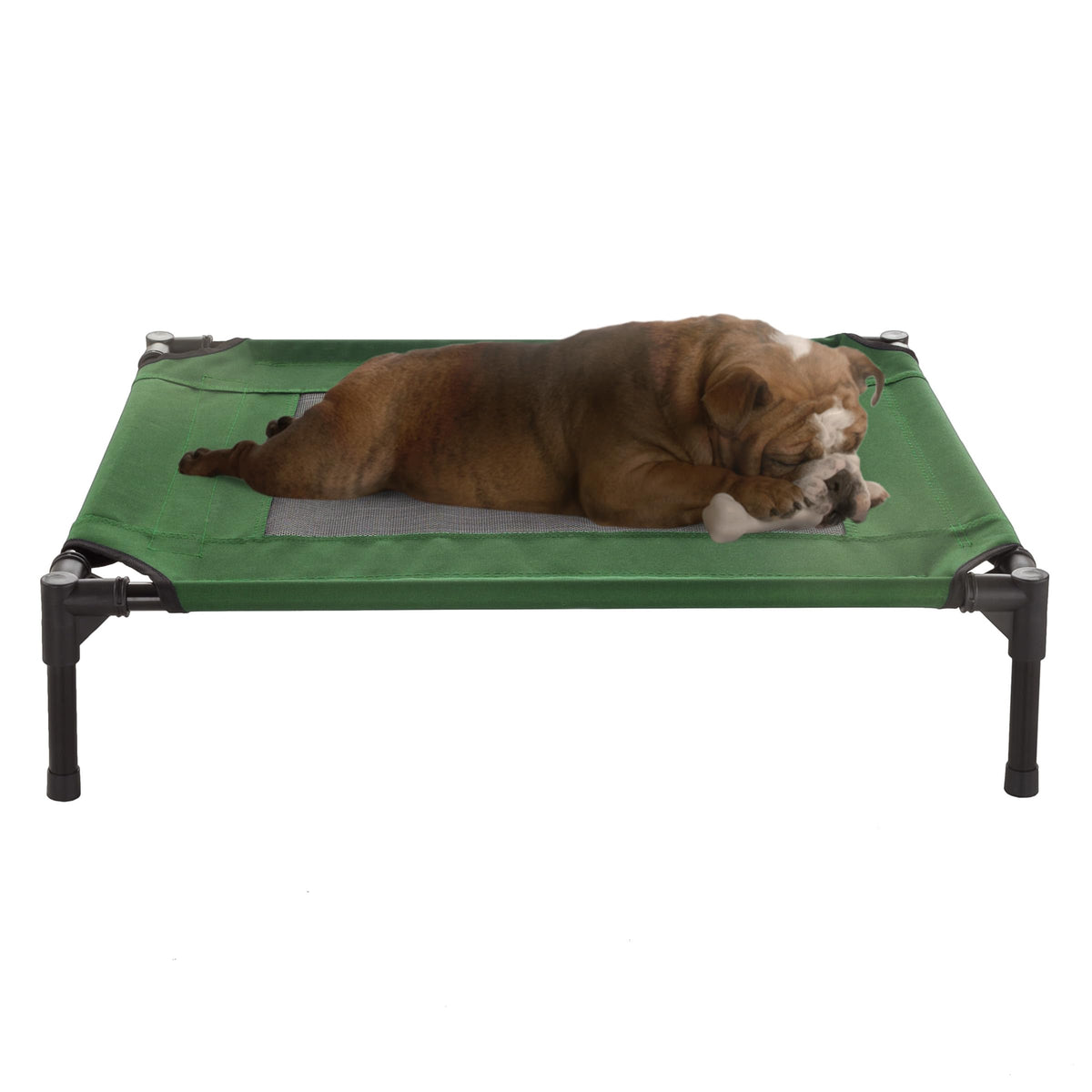 Elevated Dog Bed ? 30X24 Portable Bed For Pets With Non-Slip Feet ? Indoor/Outdoor Dog Cot Or Puppy Bed For Pets Up To 50Lbs By 