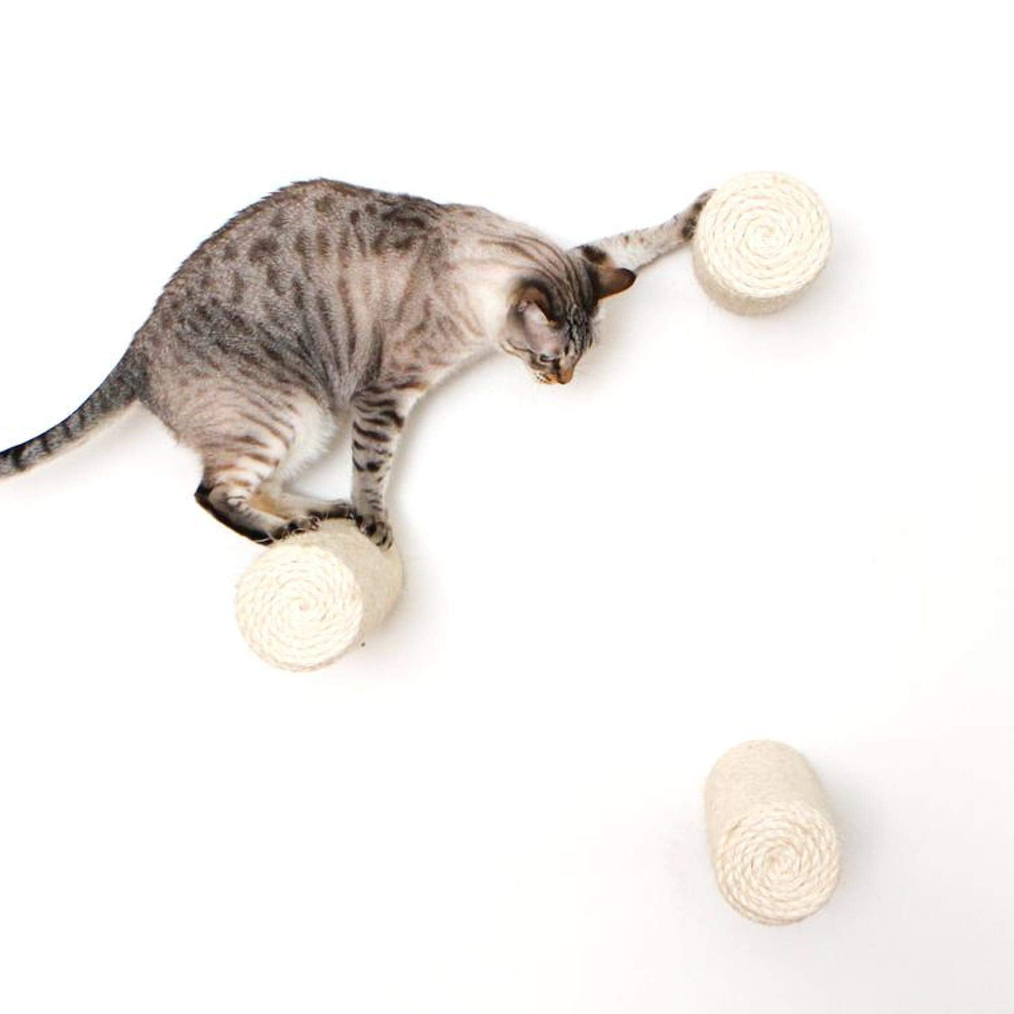 Catastrophic Creations Floating Cat Scratching Post, Hand-Crafted Sisal Cat Scratcher Post, Wall Cat Shelves & Scratching Posts For Indoor Cats, Durable & Modern Cat Furniture (1 Pc, 11” X 4”)