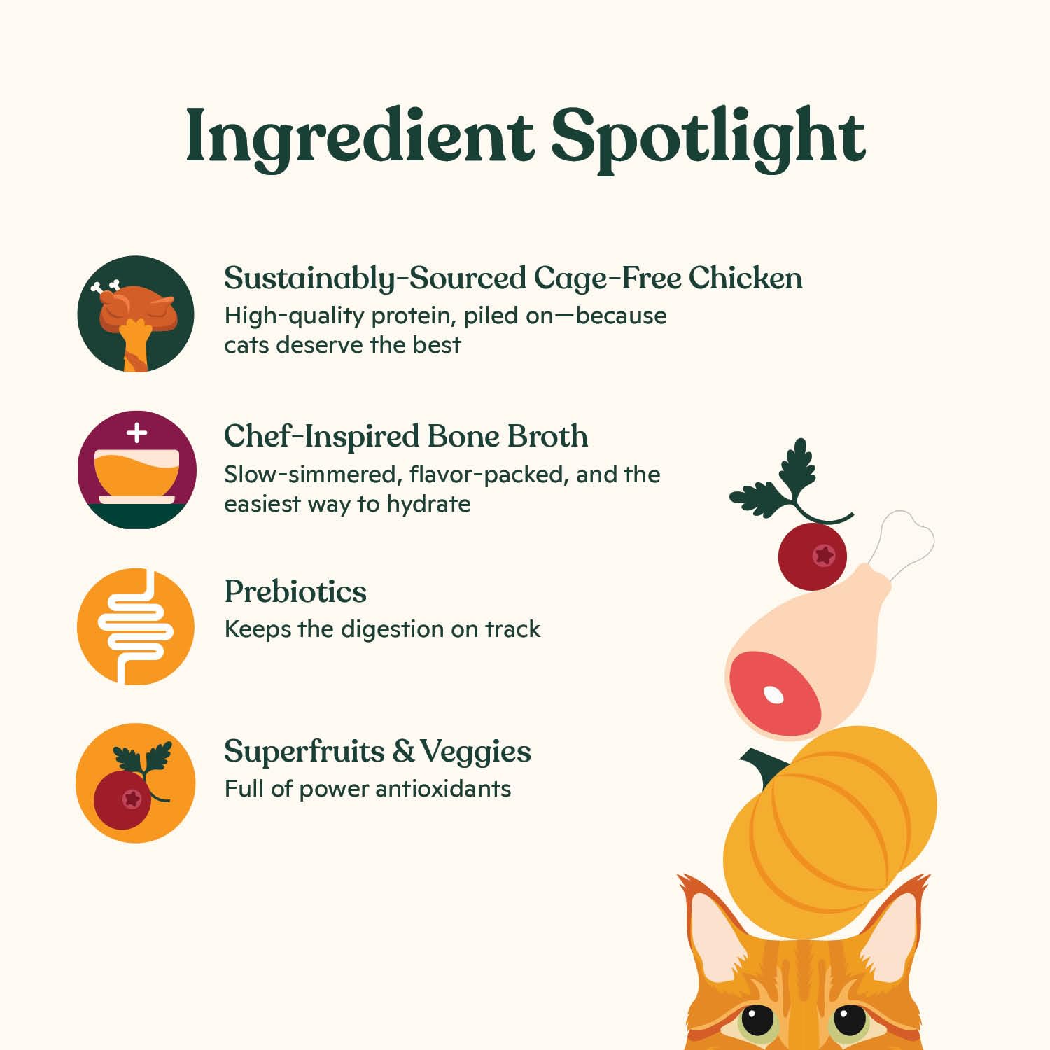 Made by Nacho Premium Dry Cat Kibble, Bone Broth Infused for Extra Cat Hydration, Grain-Friendly Dry Cat Food, Cage-Free Chicken