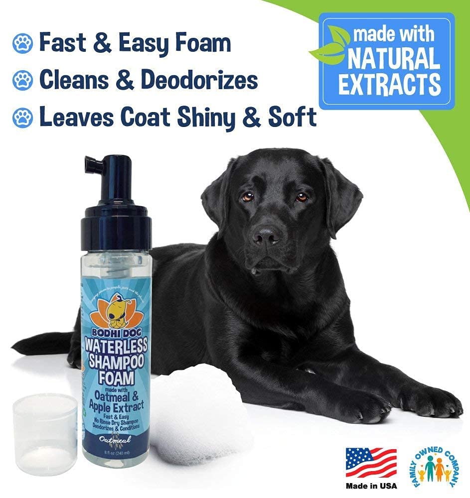 Bodhi Dog Waterless Foaming Shampoo | Natural Pet Shampoo For Dogs & Cats | Waterless Dry Shampoo For Bathless Cleaning | No Rinse Required | Made In Usa (Oatmeal, 8Oz)