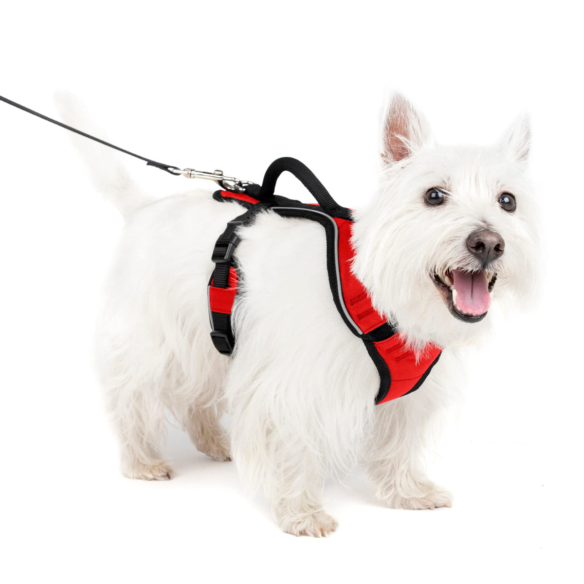 Petsafe Easysport Dog Harness – Adjustable Padded Dog Harness With Control Handle And Reflective Piping – Small, Red