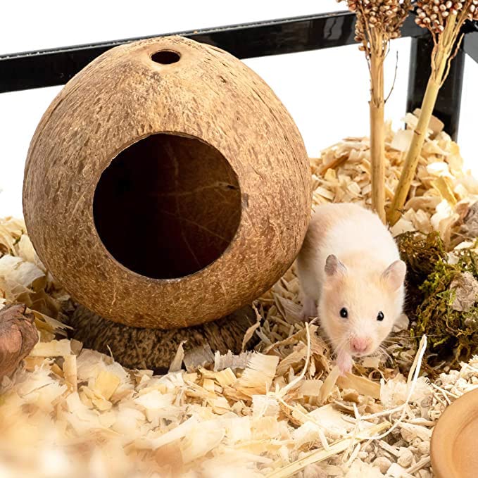 Coconut Hamster Hideout Hamster House Gerbil Cage For Small Animals With A Bundle Of Apple Sticks A Carrot (Brown)