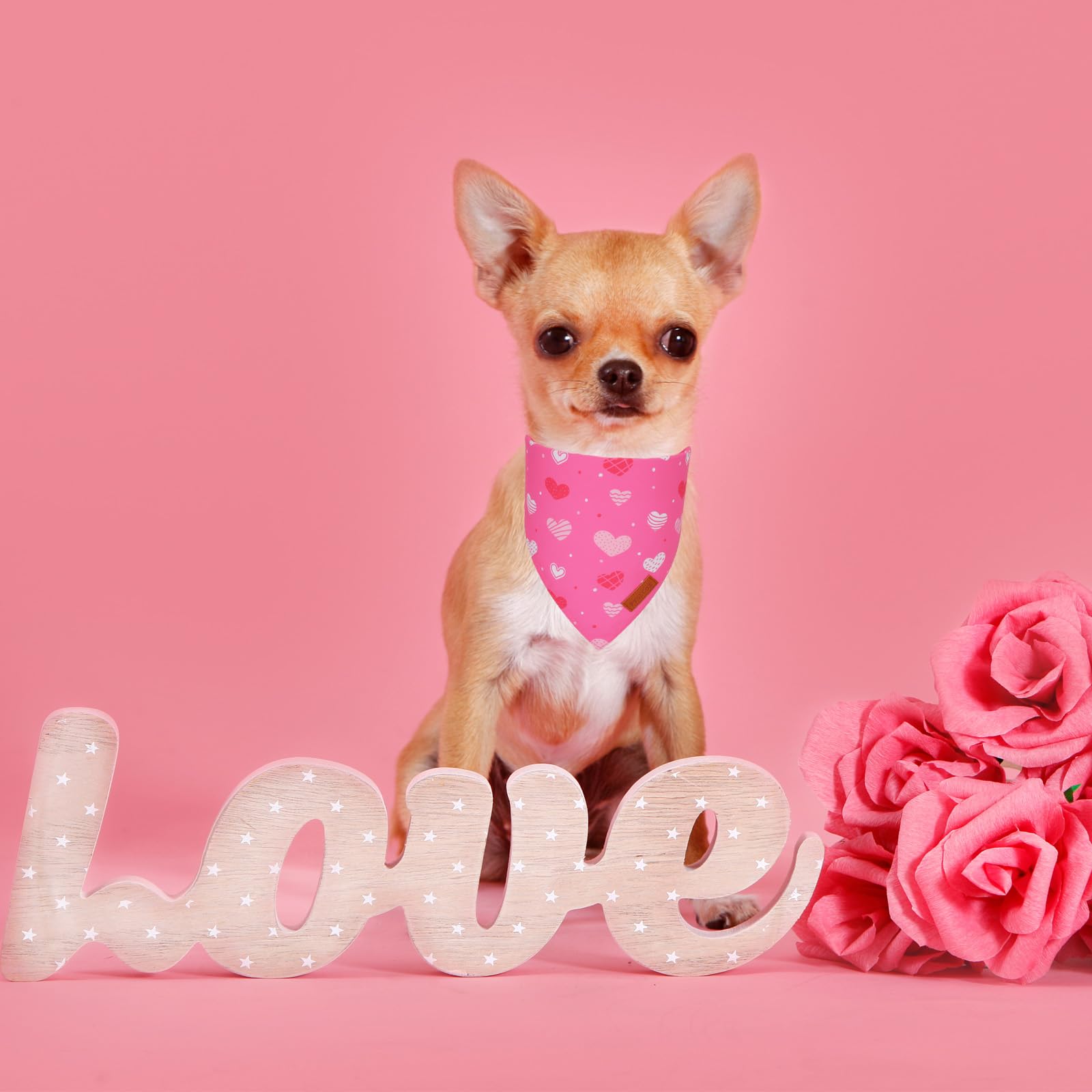 Ptdecor Valentine Dog Bandana,Bule And Pink Love Heart Design Reversible Dog Scarf, Triangle Valentine Bandanas For Small Pets (