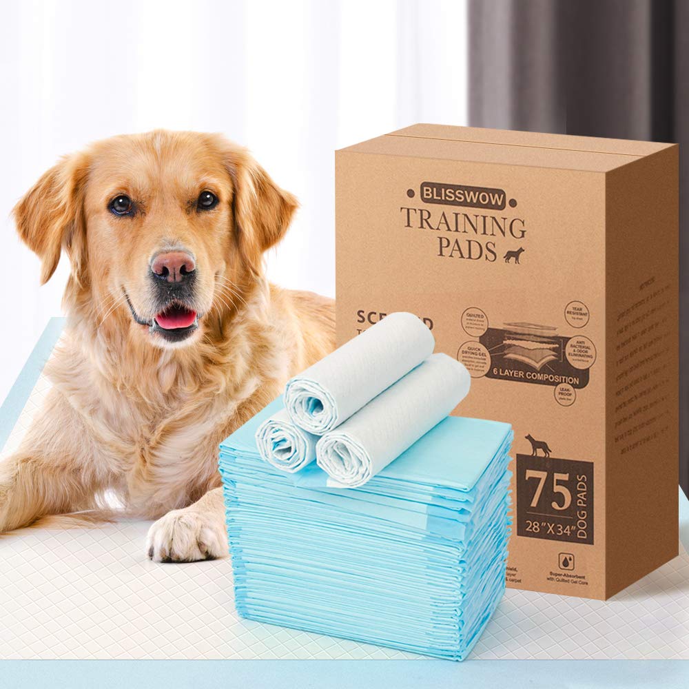 Blisswow Dog And Puppy Pee Training Pads - Pack Of 200,23 X 22 Inches