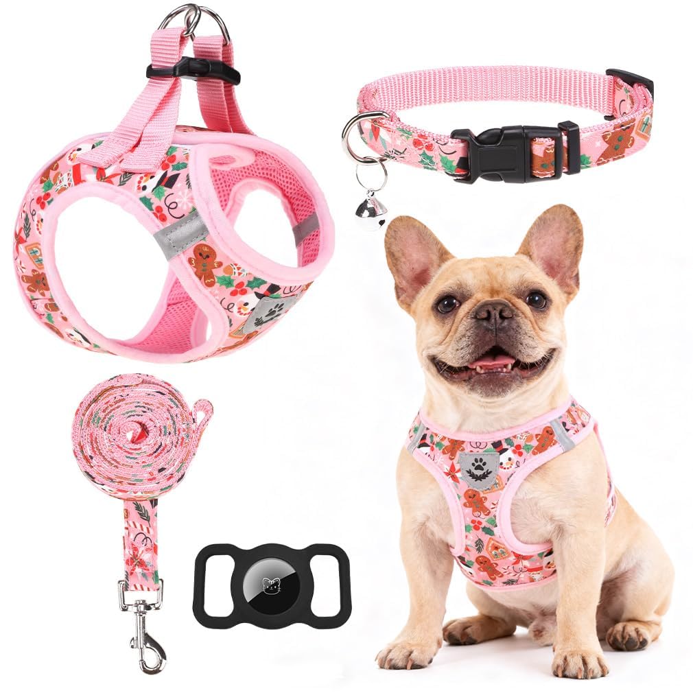 EXPAWLORER Christmas Puppy Harness - Dog Collar and Leash - Soft Mesh Padded Adjustable Step in Small Dog Vest Harness No Pull, 