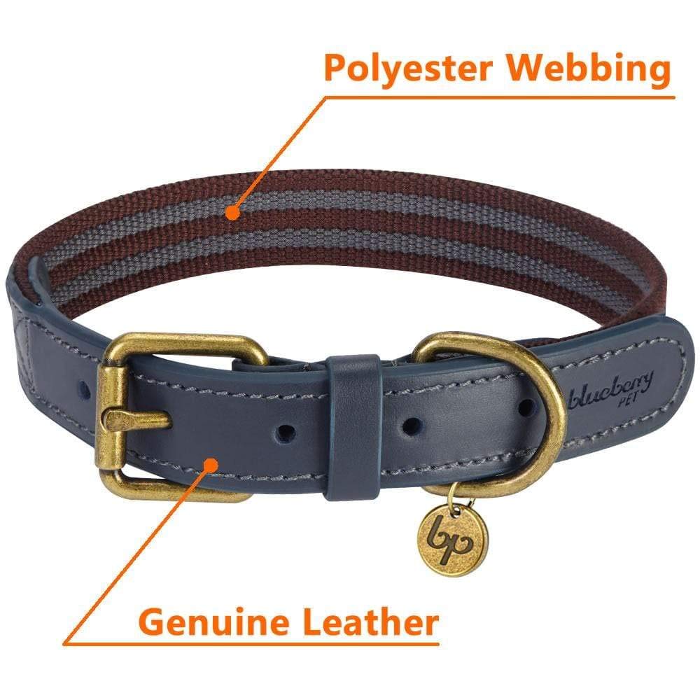 Blueberry Pet Soft Genuine Leather Dog Collar For Small Dogs - Adjustable Stylish Dog Collars, Leather Dog Collar In Noir Grey/B