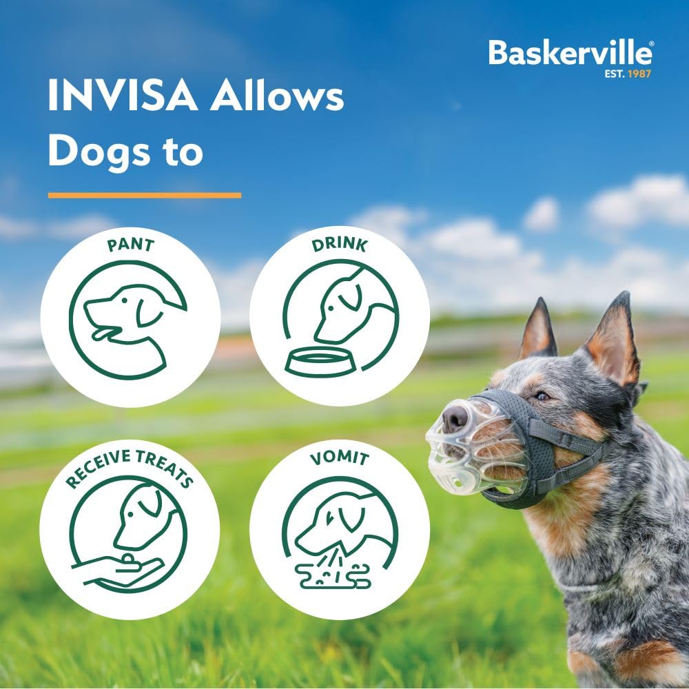 Baskerville INVISA Basket Dog Muzzle - Patented Humane Design with Facial Visibility, Padded Nose Band, Dog can Pant and Drink,