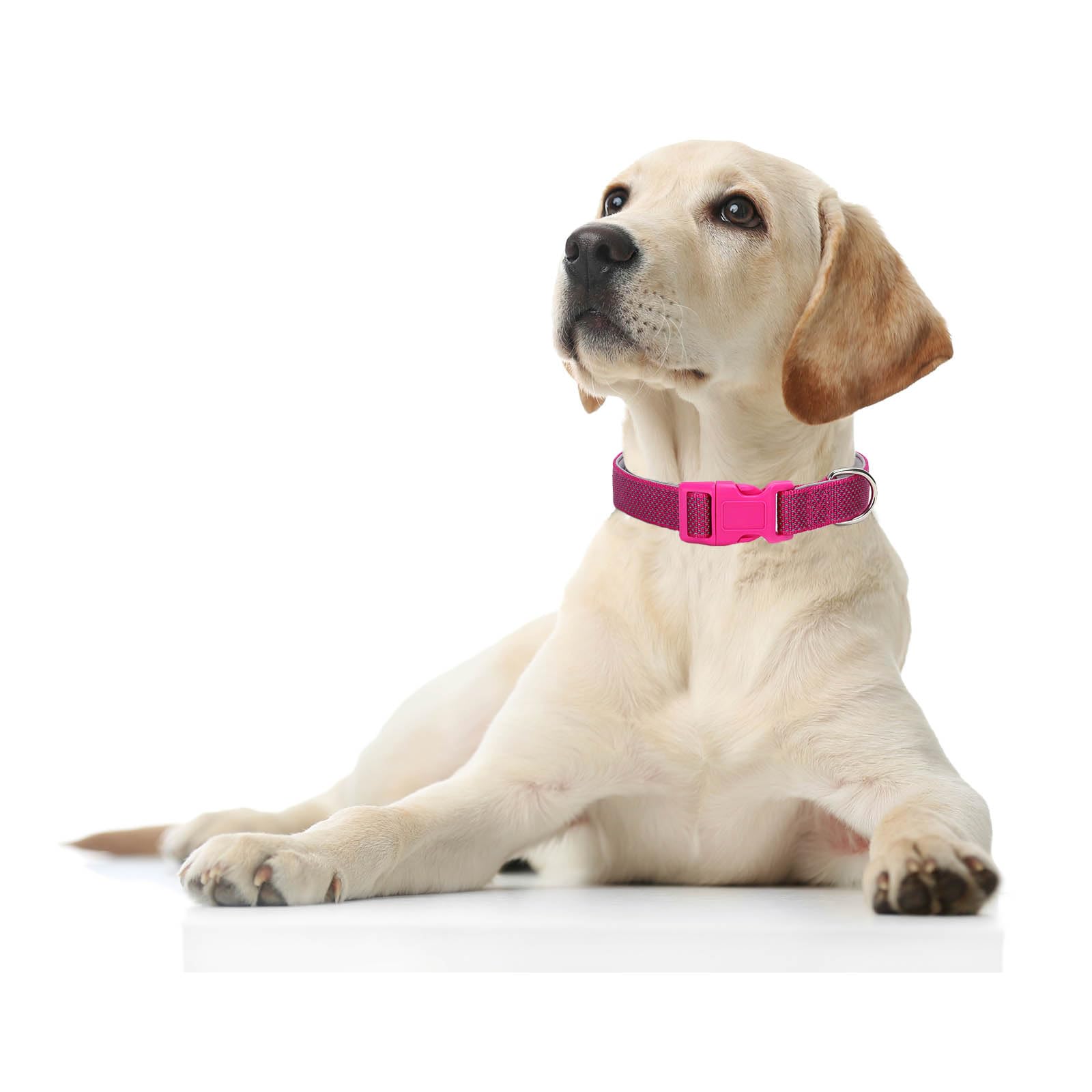 Reflective Dog Collar Padded-4 Size, Breathable Nylon Soft Neoprene Pet Collar For Small Medium And Large Dogs (Rose Red, M)